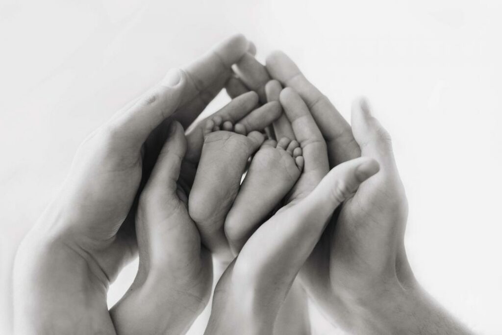 Фото:pixabay.com