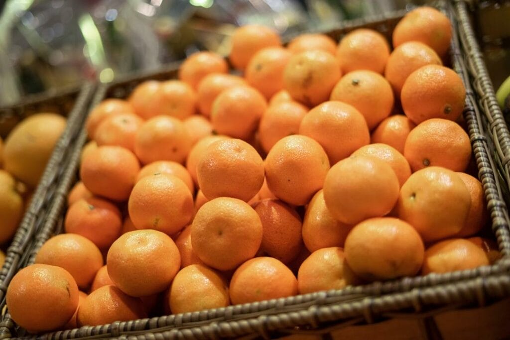 Фото: Офелия Жакаева