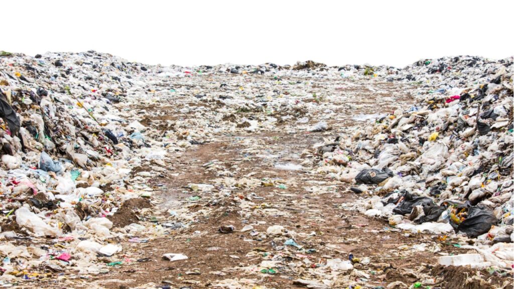 Фото: Shutterstock