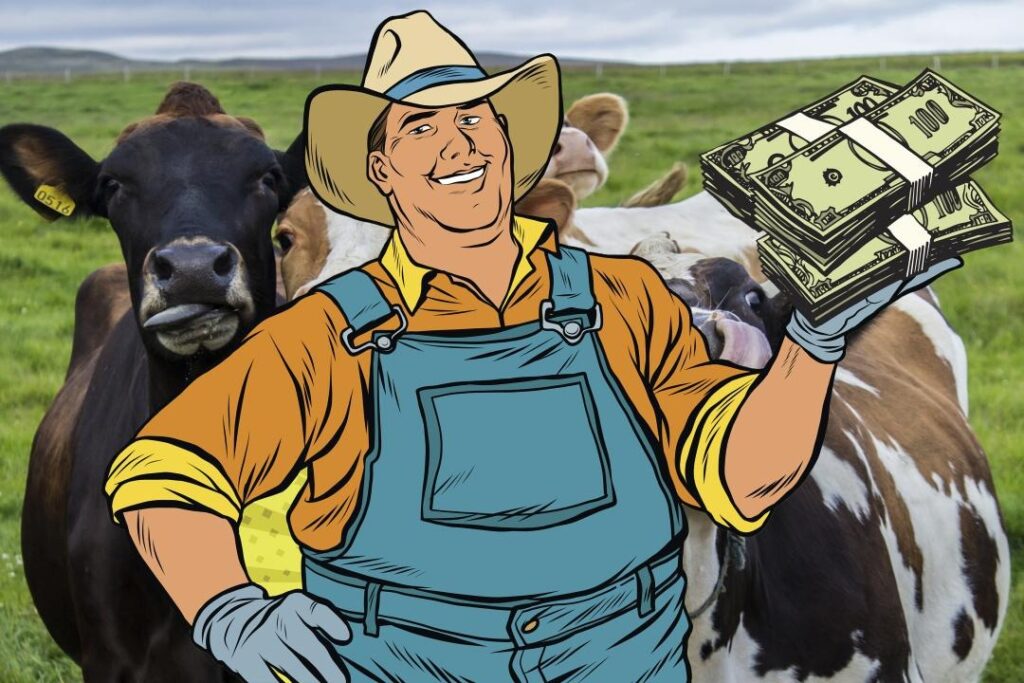 Почти 100 млн тенге субсидий должны вернуть павлодарские крестьяне