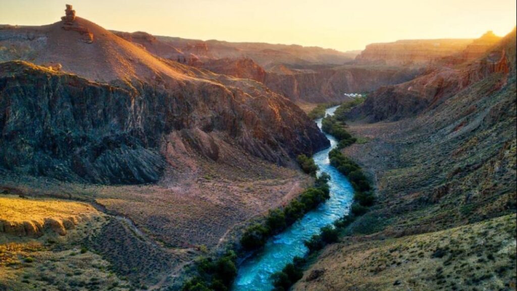 Фото: Shutterstock