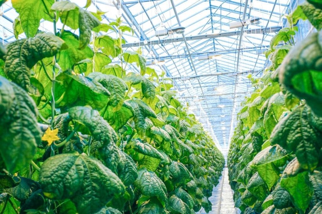 Как в Карагандинской области увеличить урожай вдвое