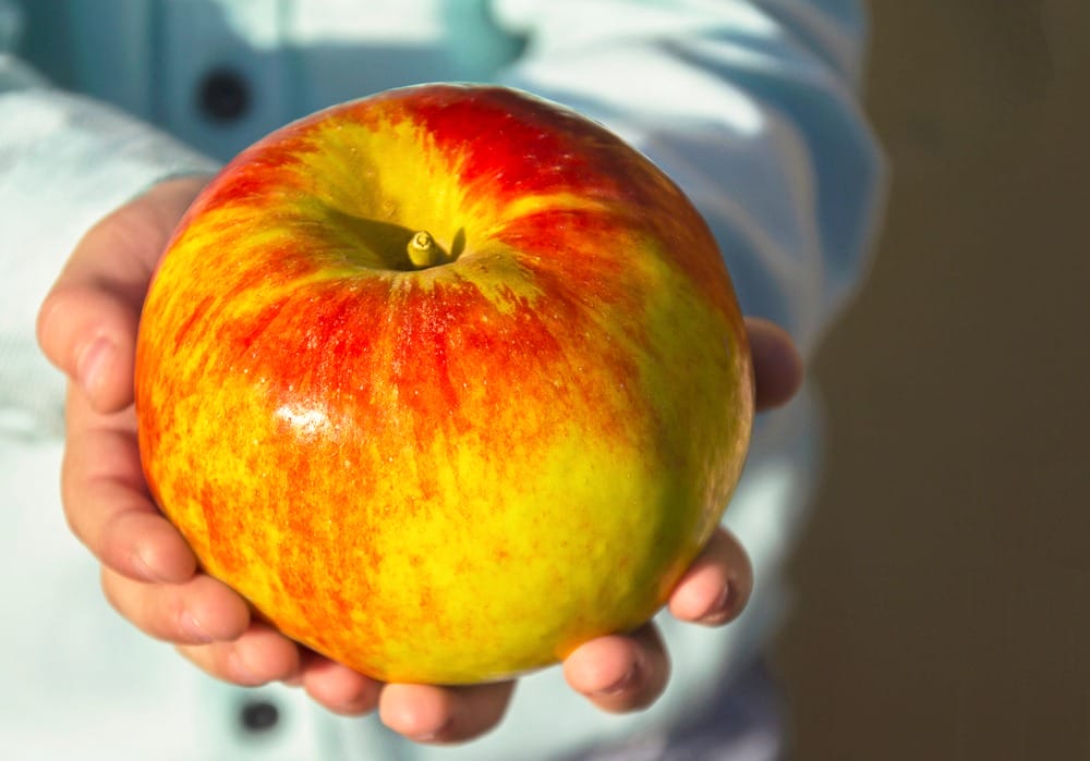 Фото: Shutterstock