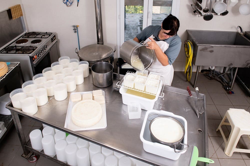 Как предпринимателям из глубинки удалось наладить производство сыра