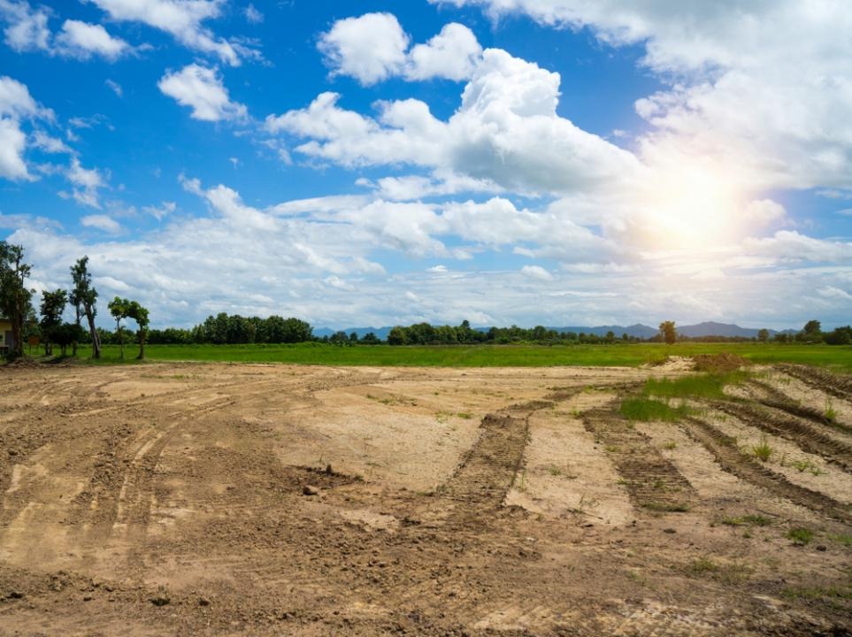 Фото: Shutterstock