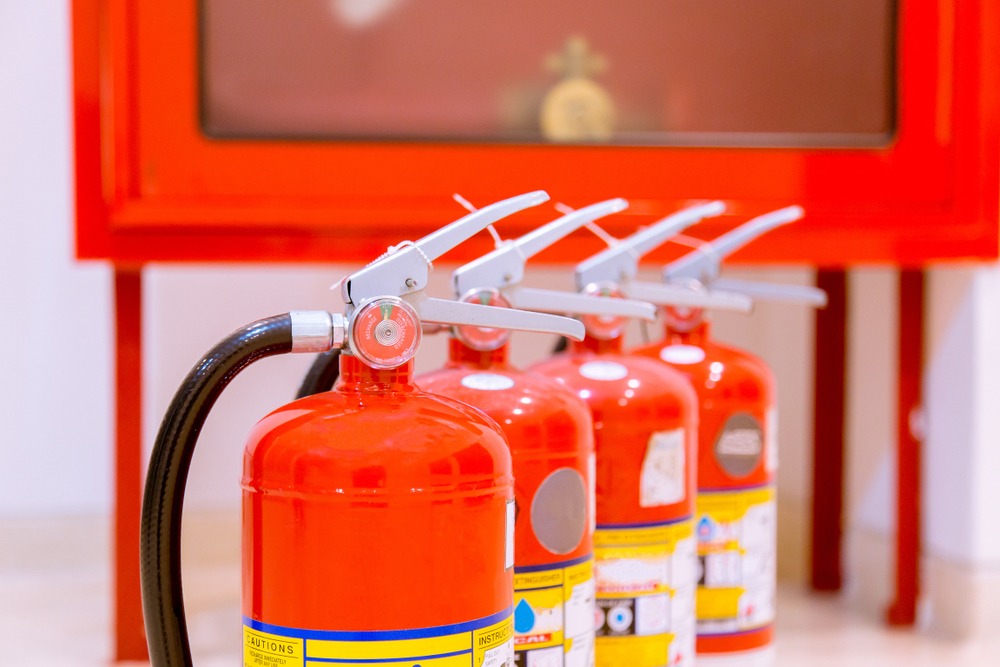 Фото: Shutterstock.com