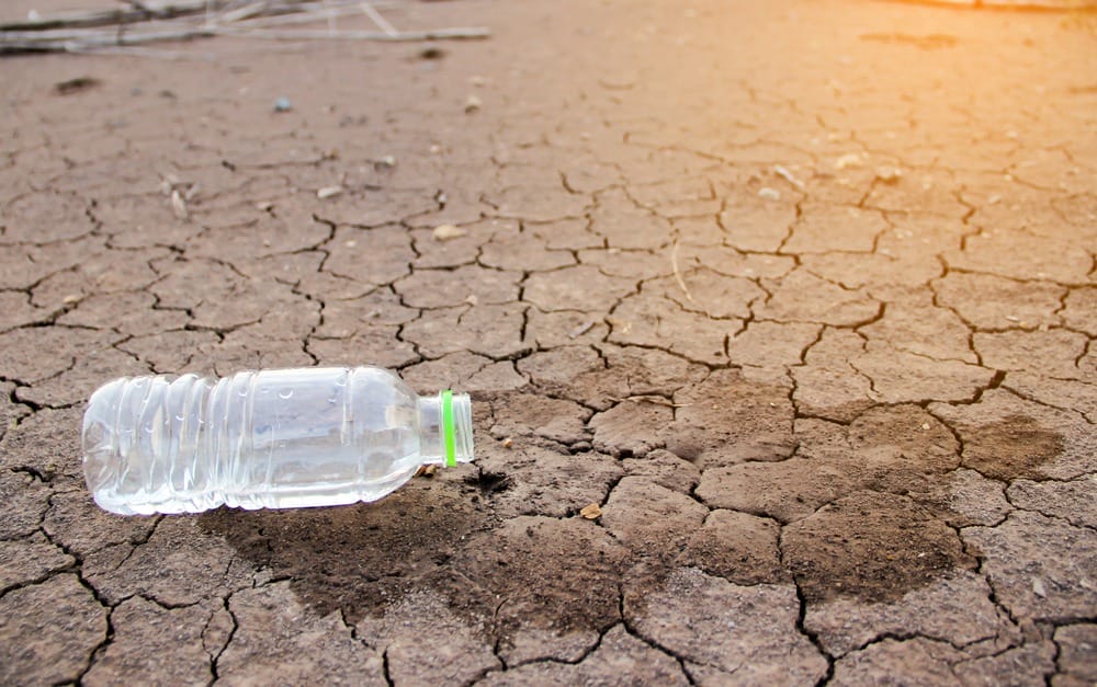 Фото: Shutterstock