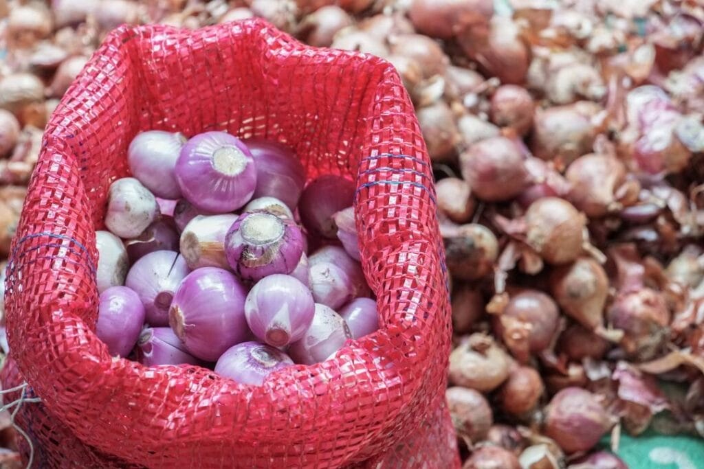 Как возглавить успешное крестьянское хозяйство в Казахстане