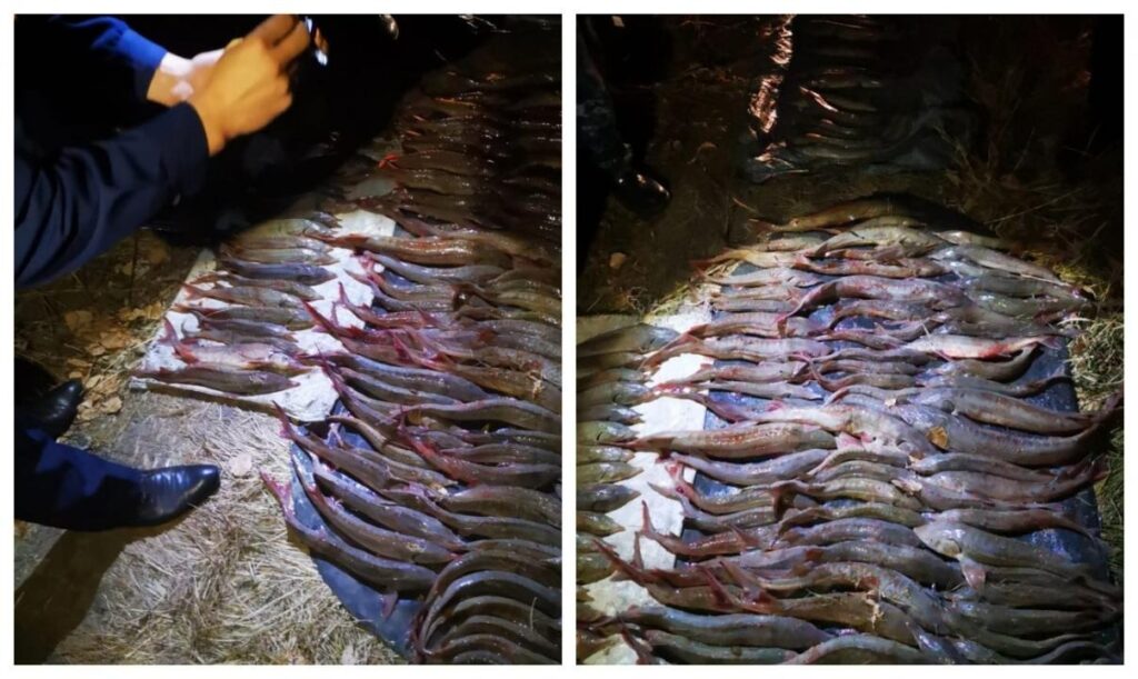 Фото пресс-службы полиции