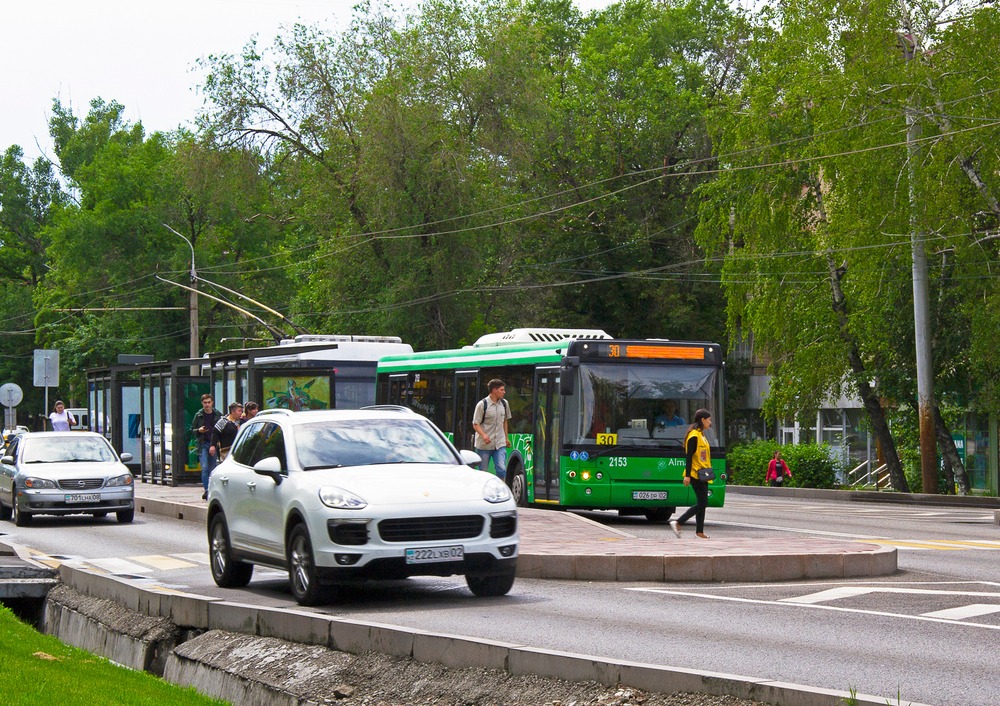 Фото: Cholpan/Shutterstock