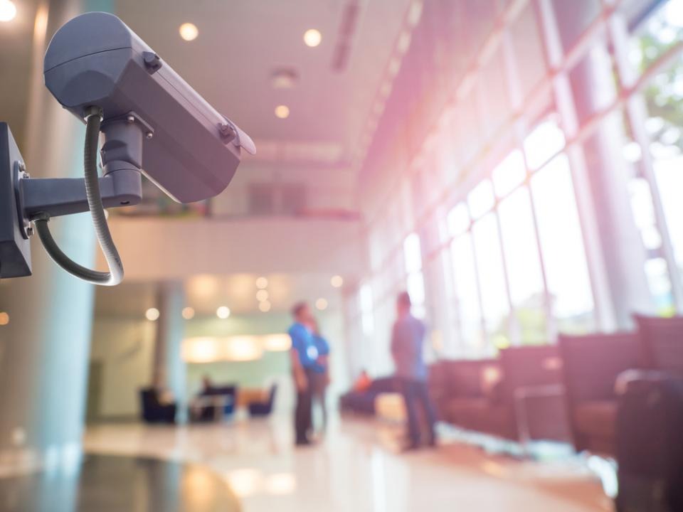 Фото: Shutterstock.com