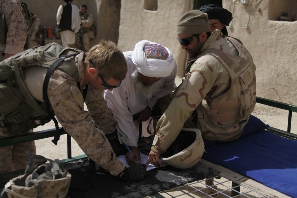 Фото: GoodAndy45/Shutterstock