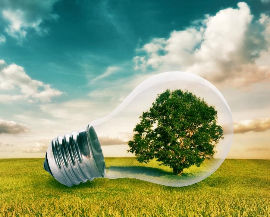 Финансирование «зеленых» проектов: опыт Китая и глобальные планы ООН