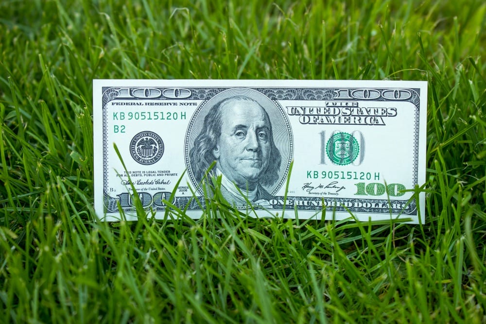 Фото: Shutterstock