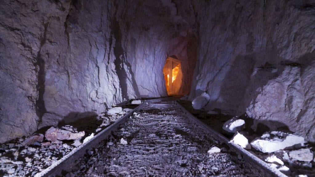 Фото: Shutterstock