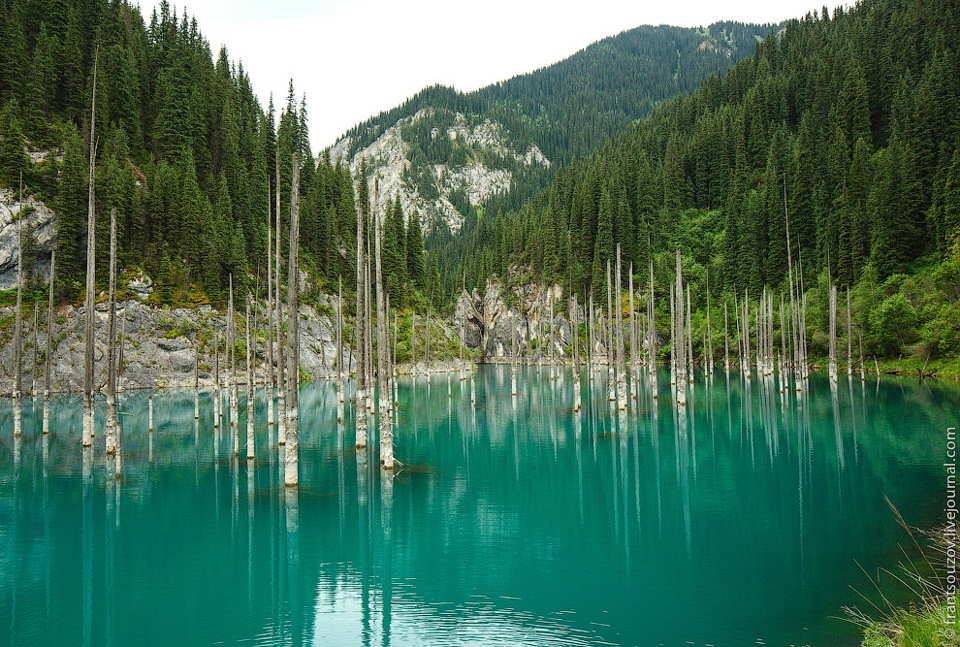  Фото:holanews.kz
