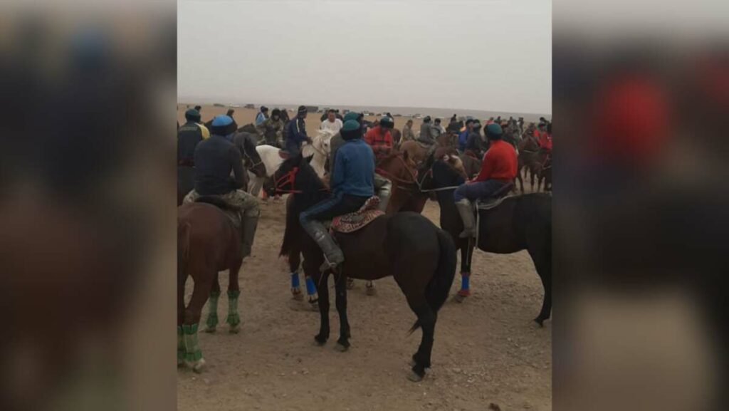 Көкпар ұйымдастырғандар жауапқа тартылды