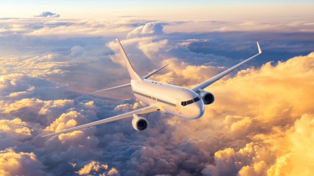 Аляскада жолаушылар ұшағы қонған кезде аюды қағып кетті