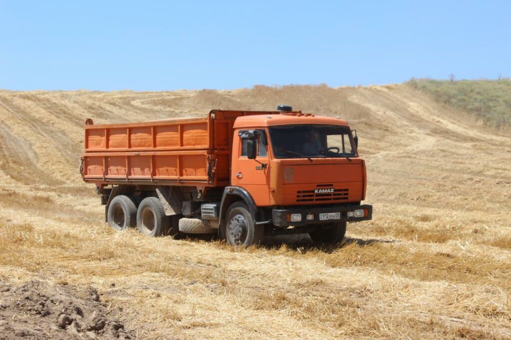 Хранение зерна оплатят из бюджета