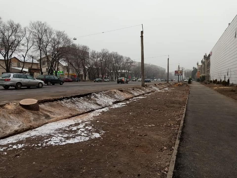 Фото: соцсети