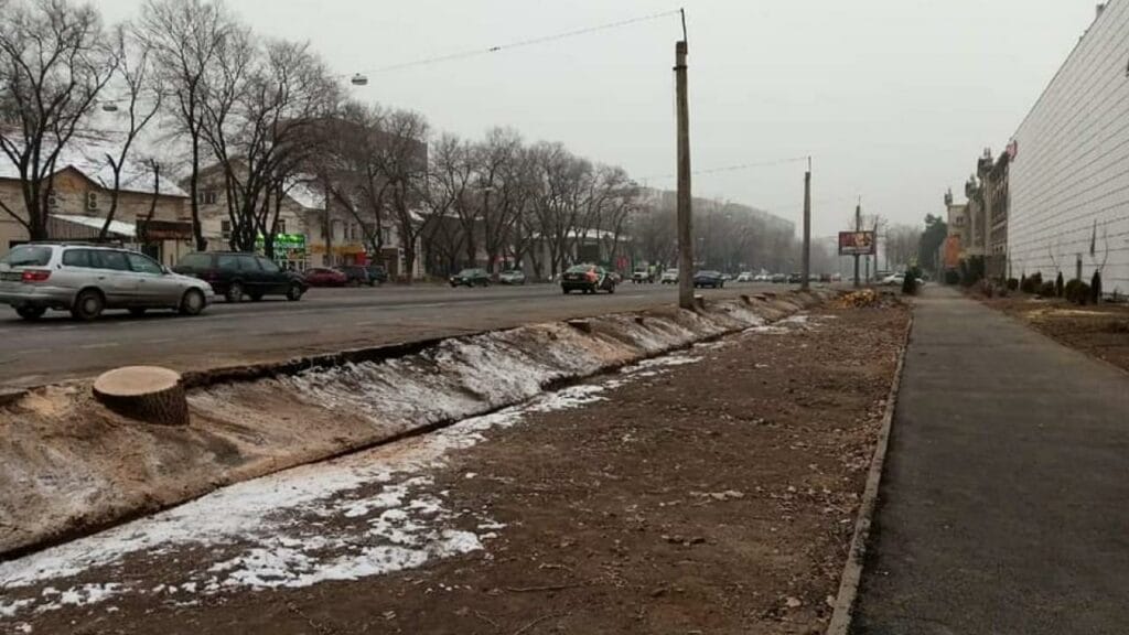 Фото; әлеуметтік желіден 