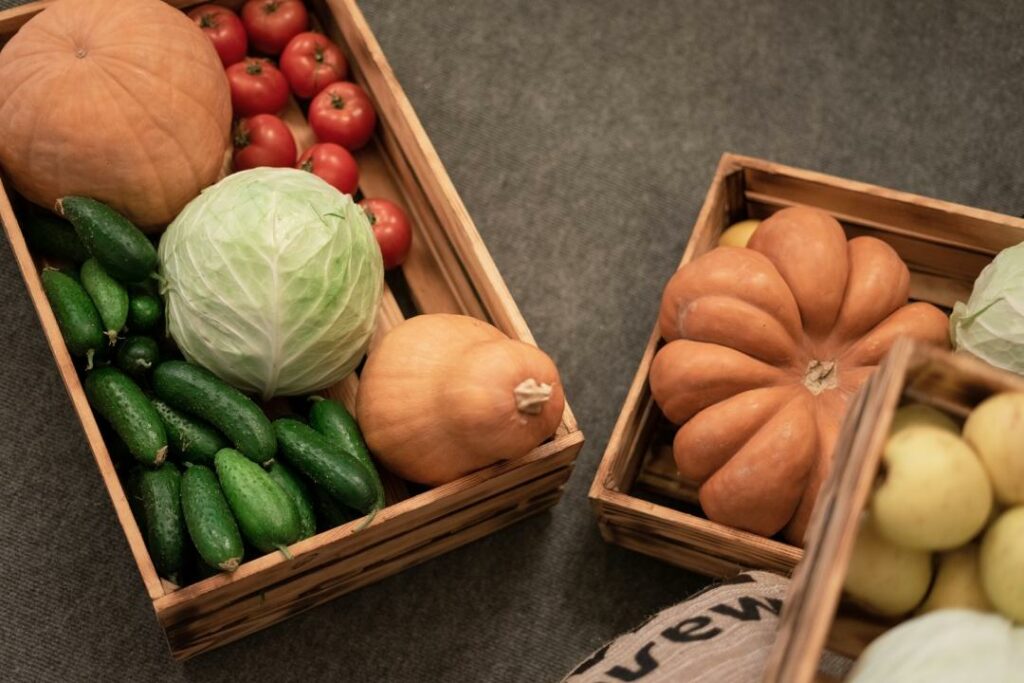 Фото: Офелия Жакаева