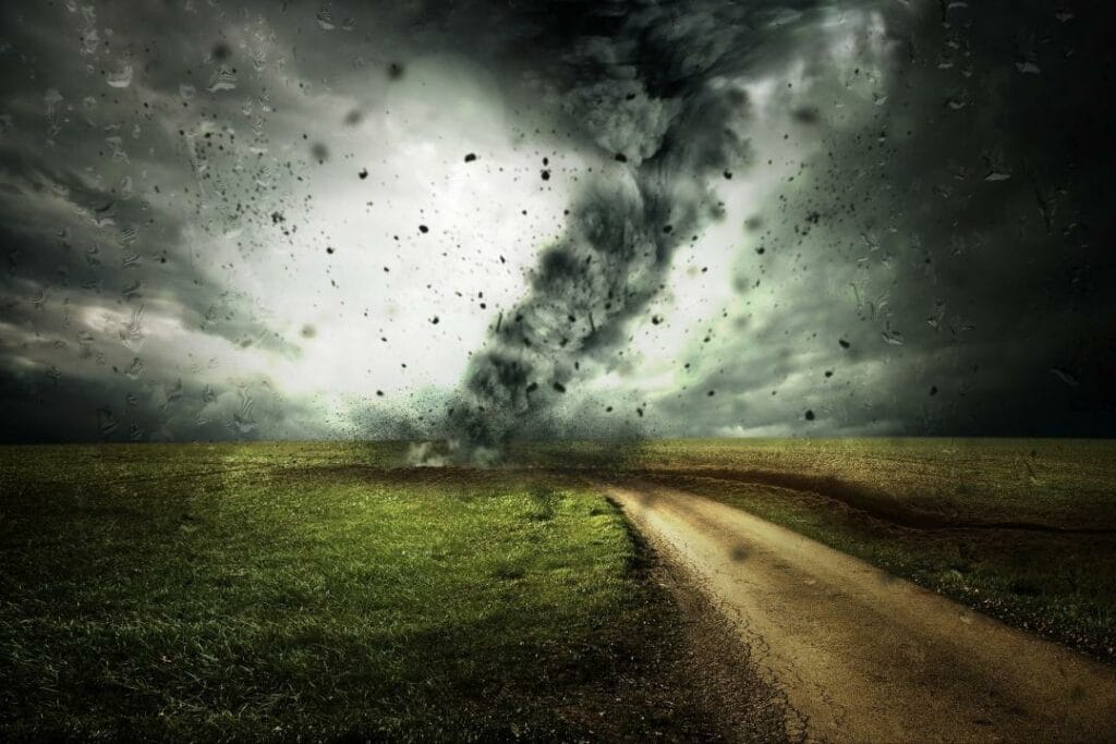 Фото:  Comfreak from Pixabay 