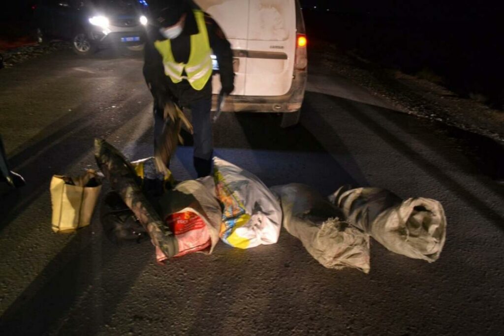 Қызылорда облысында киік атқандар ұсталды