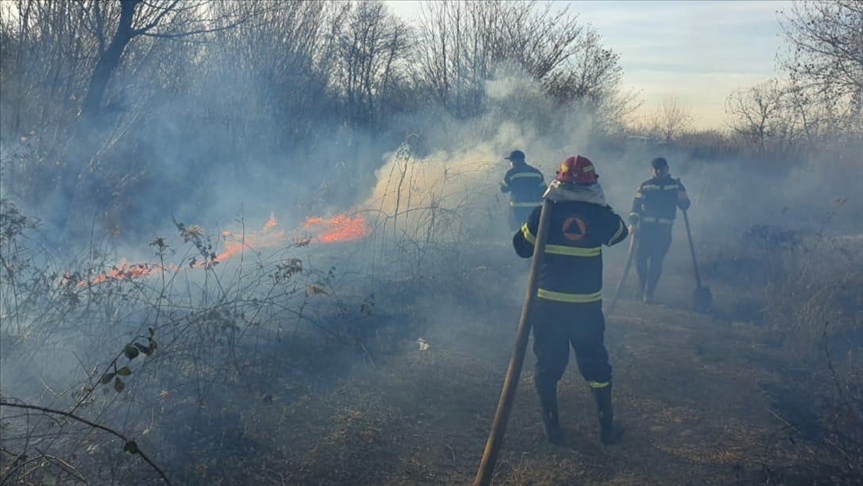 Грузияда тәулігіне 234 орман өрті тіркелді