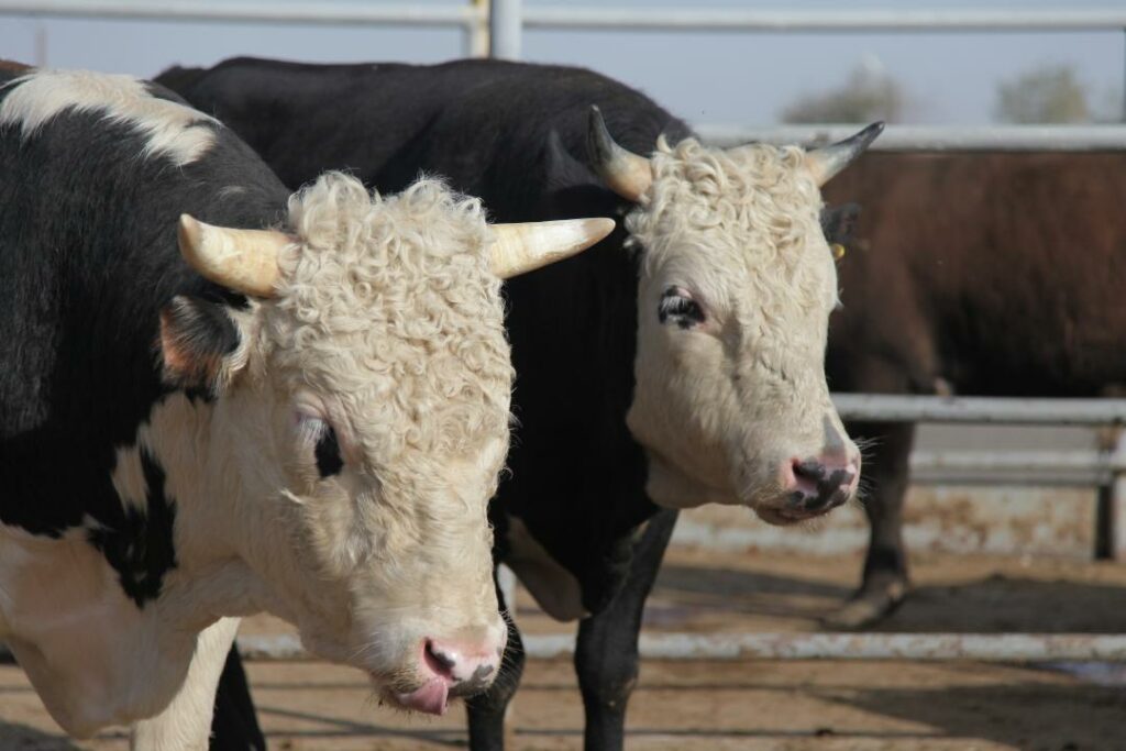 Фото: Олег Спивак