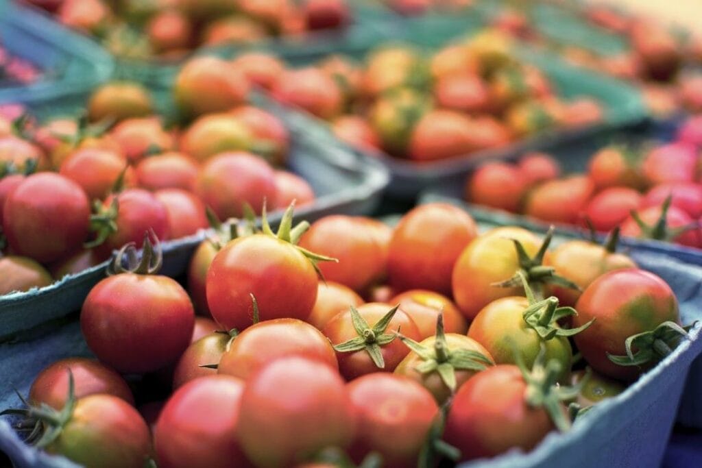 Казахстанские фермеры увеличили отпускные цены на свою продукцию