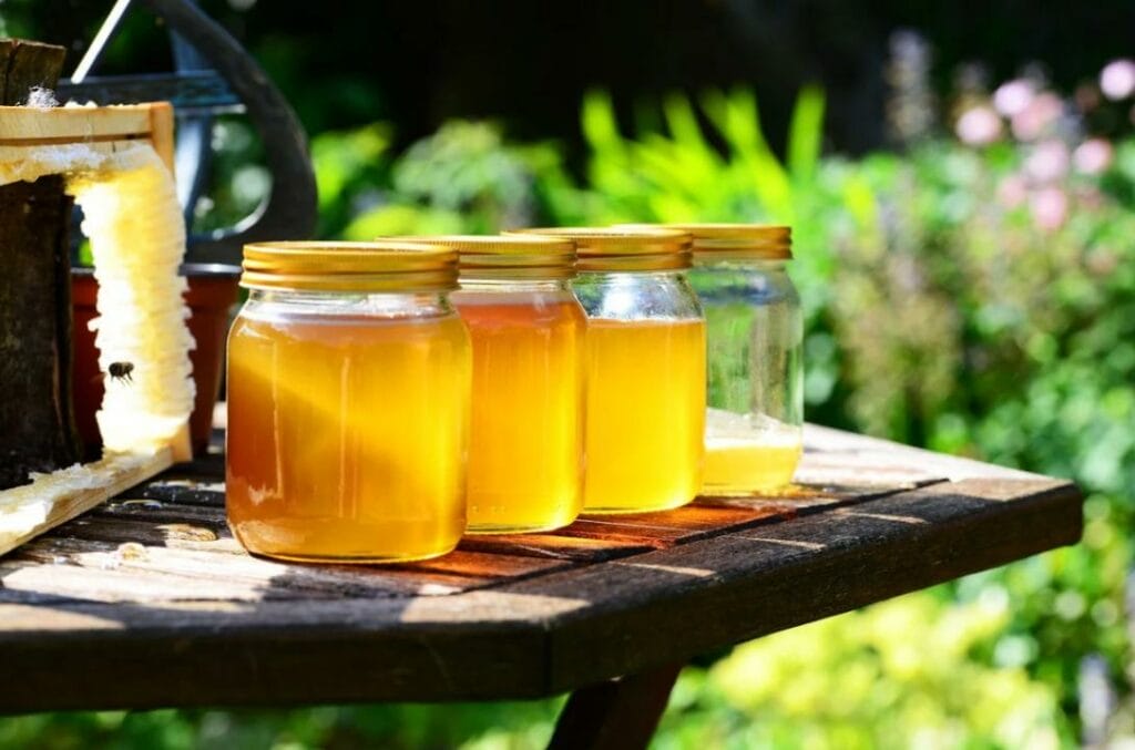 Экспорт меда из Казахстана сократился на 28%