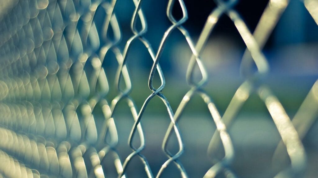 Фото: Free-Photos from Pixabay 