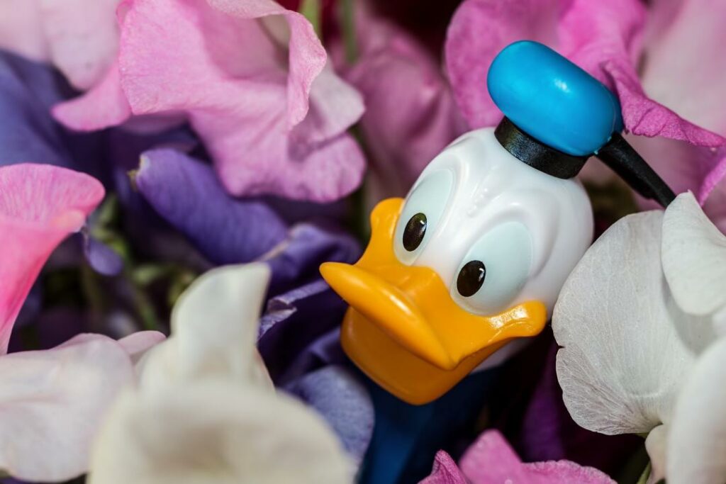 Disney переводит магазины в онлайн