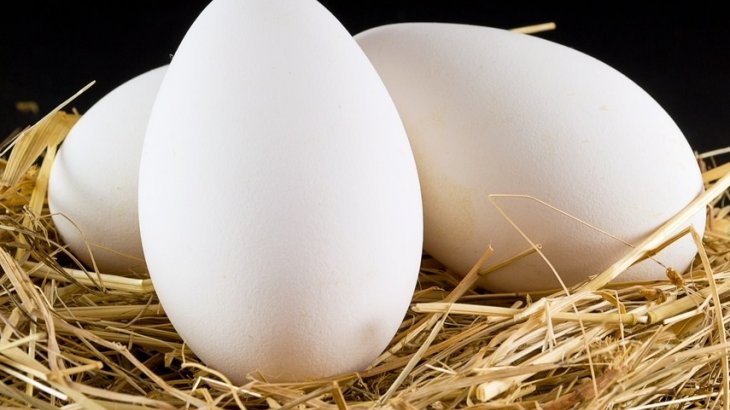 Ресейлік 36 мың дана жұмыртқа кері қайтарылды