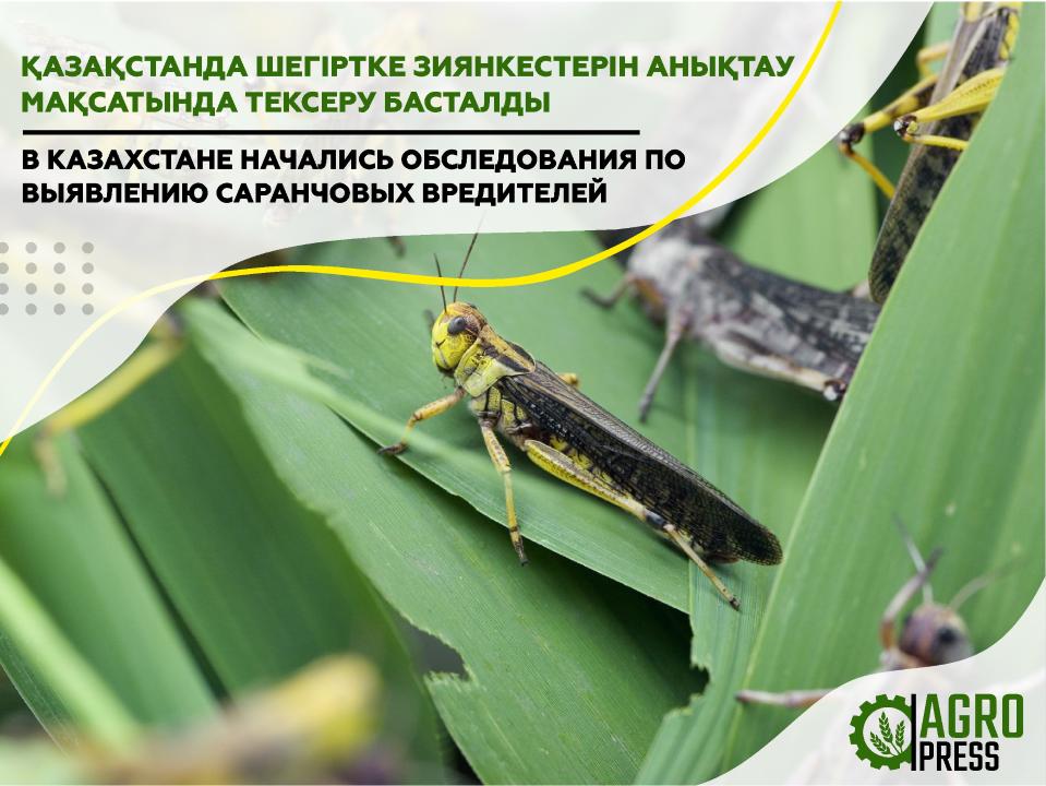 Фото: АШМ