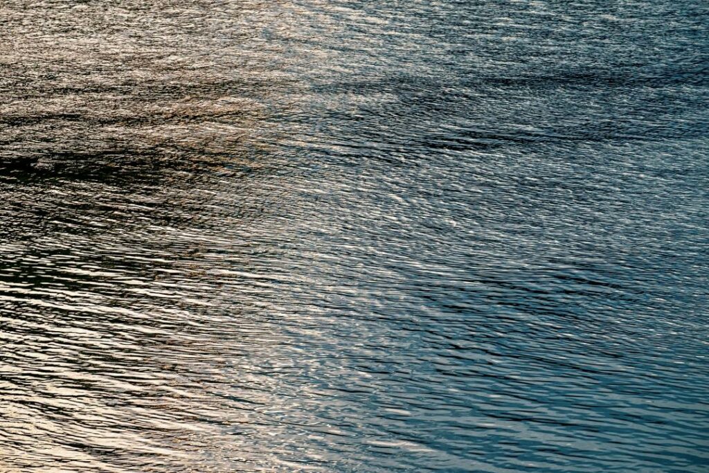 Фото: Pixabay