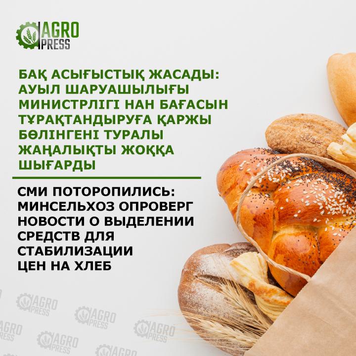 Фото: АШМ баспасөз қызметі