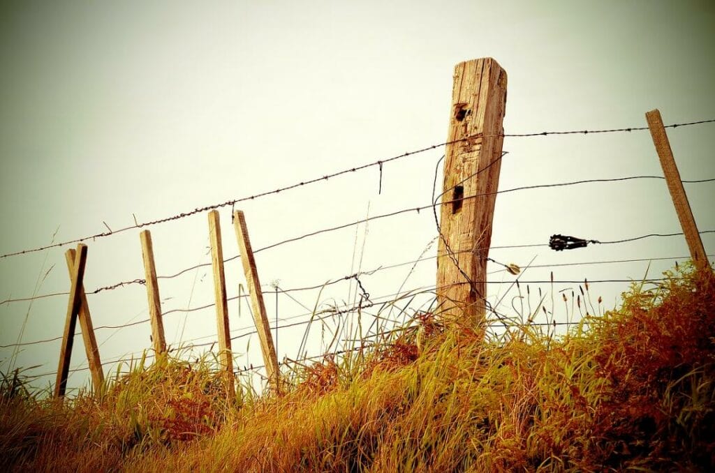 Фото: pixabay.com