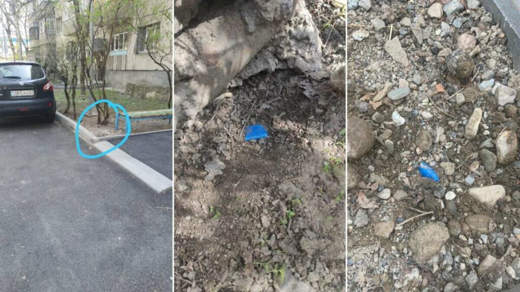 Алматы полициясы тұрақты есірткі желісін жойды