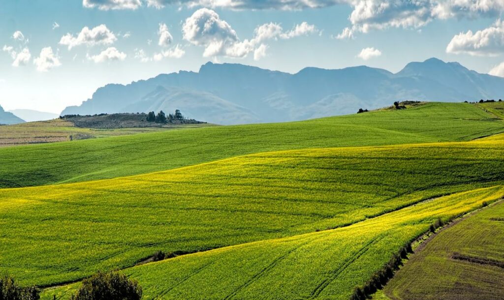 Фото: Pixabay.com