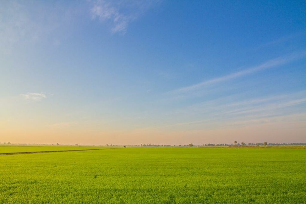 Фото: pixabay.com
