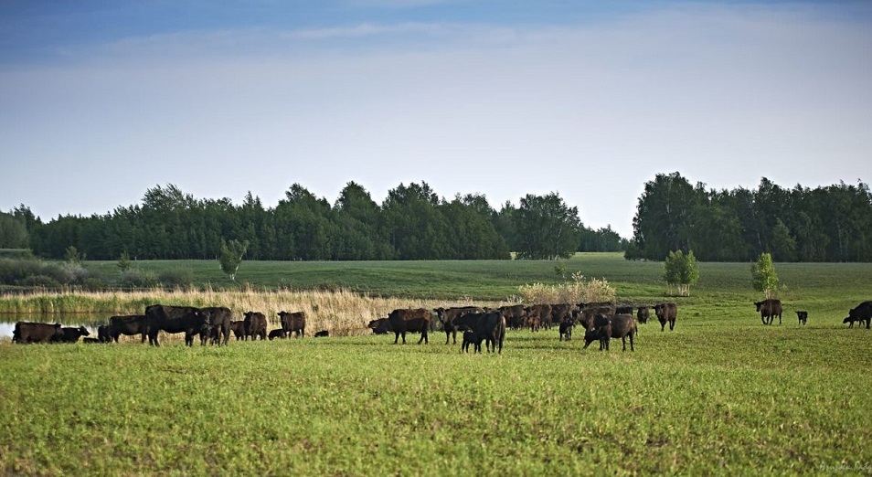 Фермерлер өнімдерін қандай жағдайда сақтандыра алады?
