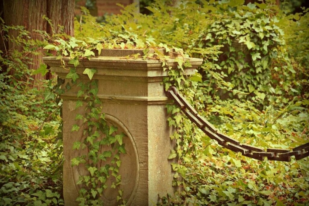 Фото: Pixabay.com
