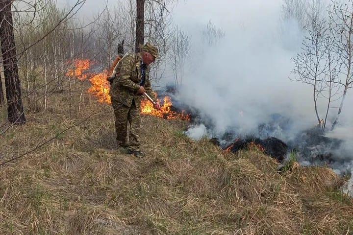 В ВКО лесной пожар перекинулся на жилые дома