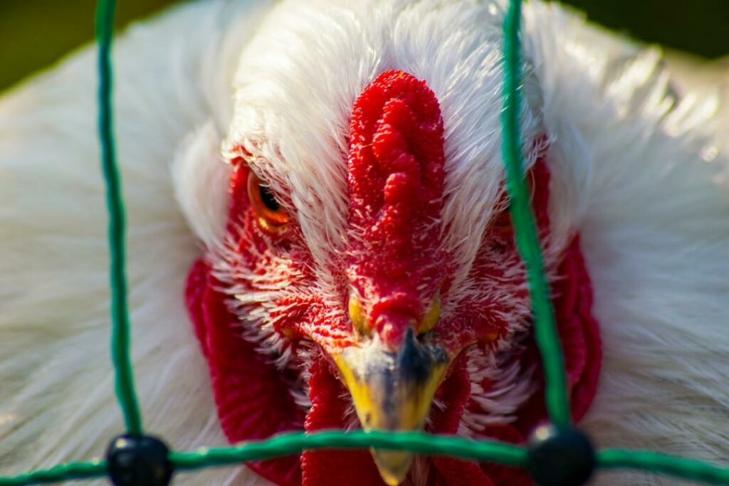 Фото: Pixabay.com