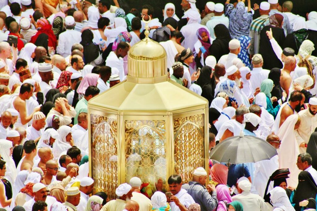 Фото: Abdullah Shakoor from Pixabay 