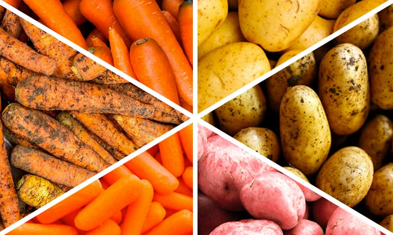 Қазақстанға жұқпалы бактериясы бар картоп пен сәбіз тұқымын жеткізбекші болған