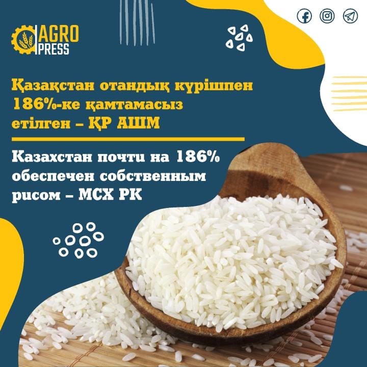 Фото: АШМ 