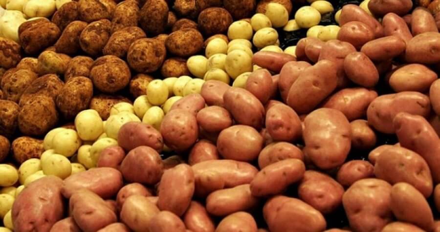 Картоптың бағасы түсе бастады – ҚР АШМ